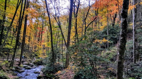 This Easy Fall Hike In Georgia Is Under 2 Miles And You'll Love Every Step You Take