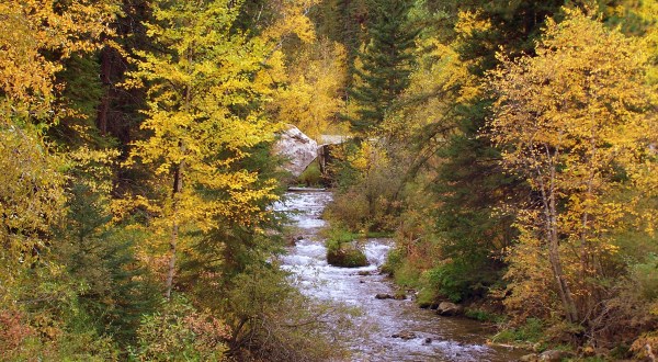You’ll Be Happy To Hear That South Dakota’s Fall Foliage Is Expected To Be Bright And Bold This Year
