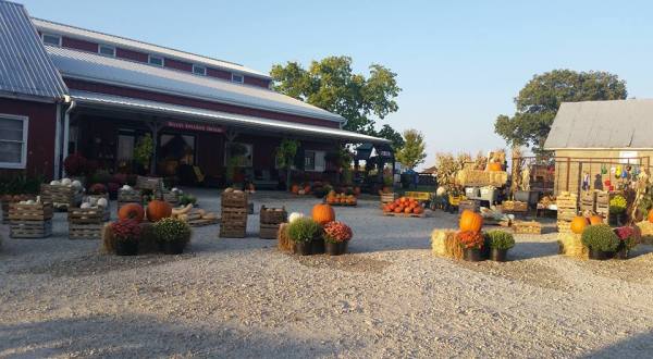 These 7 Cider And Donut Mills In Iowa Will Put You In The Mood For Fall