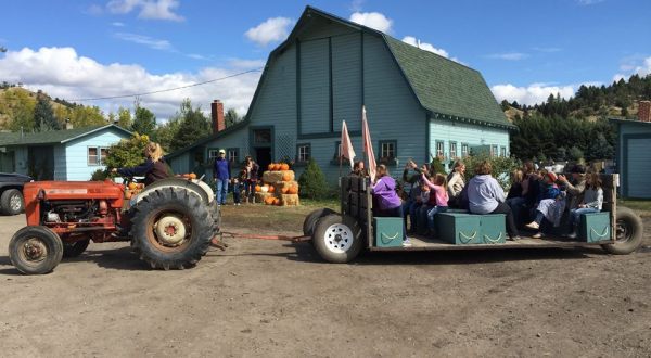 5 Welcoming Montana Farms To Visit For a Picture-Perfect Fall Day
