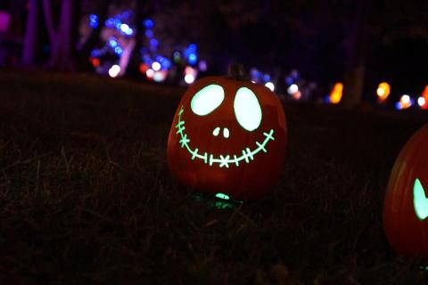 There's A Glowing Pumpkin Trail Coming To North Carolina And It'll Make Your Fall Magical