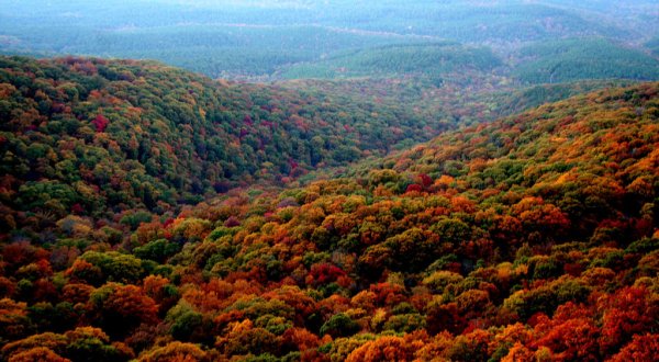 Fall Is Coming And These Are The 10 Best Places To See The Changing Leaves In Arkansas