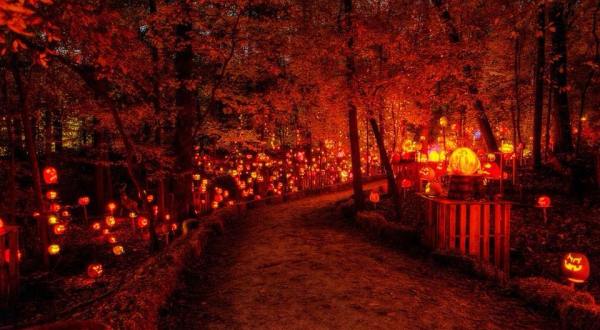 Minnesota’s Glowing Pumpkin Trail Is A Great Way To Celebrate Fall