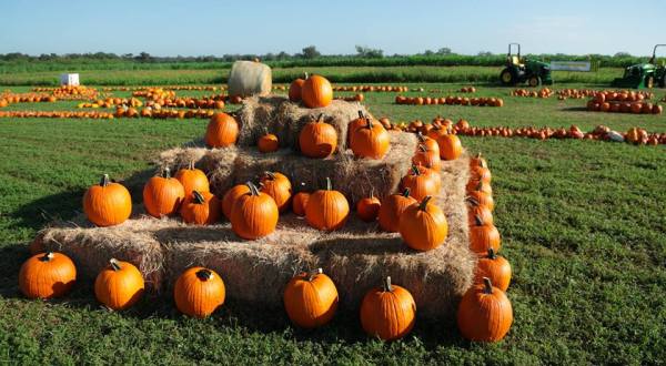 Take A Day Trip To This Lovely Fall Festival And Pumpkin Patch Near Austin