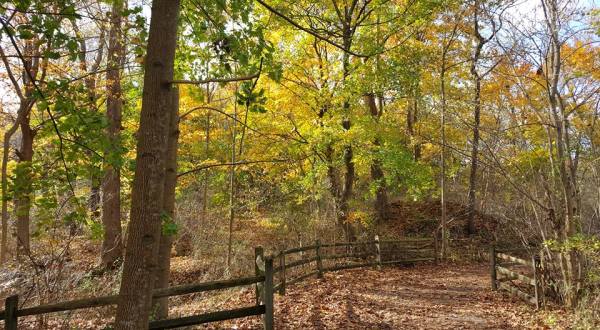 The Awesome Hike That Will Take You To The Most Spectacular Fall Foliage In Delaware