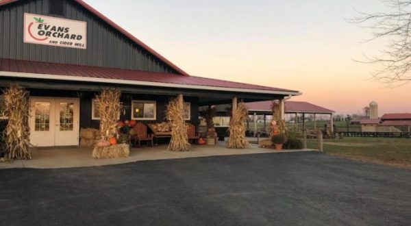 This Cider And Donut Mill In Kentucky Will Put You In The Mood For Fall