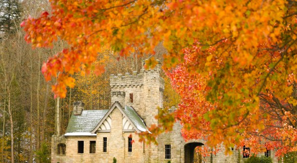 Fall Is Coming And These Are The 14 Best Places To See The Changing Leaves In Cleveland