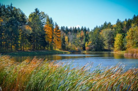 The One Hikeable Lake Near Cleveland That's Simply Breathtaking In The Fall