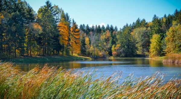 The One Hikeable Lake Near Cleveland That’s Simply Breathtaking In The Fall