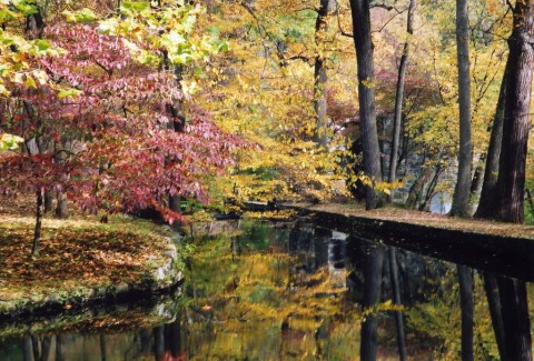 You'll Be Happy To Hear That Delaware's Fall Foliage Is Expected To Be Bright And Bold This Year