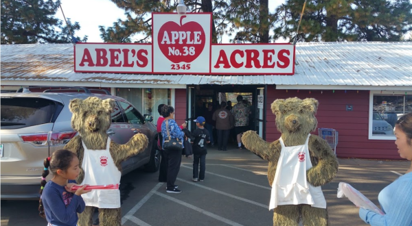 Nothing Says Fall Is Here More Than A Visit To Northern California’s Charming Apple Farm