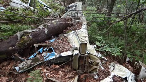 The Unique Hike In West Virginia That Leads You To Plane Wreckage From 1973