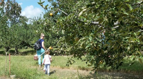 Nothing Says Fall Is Here More Than A Visit To This South Carolina Charming Apple Farm