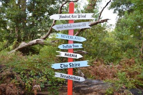 Mississippi's Enchanted Forest Nature Trail Is Just As Magical As It Sounds