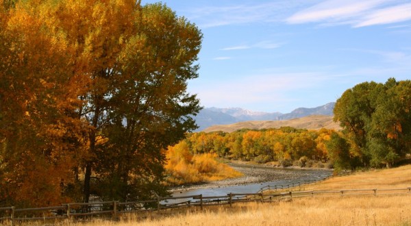Fall Is Coming And These Are The 11 Best Places To See The Changing Leaves In Wyoming
