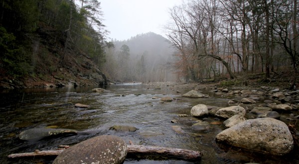 You’ll Be Pleased To Hear That Tennessee’s Upcoming Winter Is Supposed To Be Warmer And Wetter Than Last Year’s