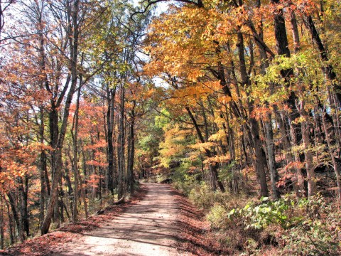 You'll Be Happy To Hear That Arkansas' Fall Foliage Is Expected To Be Bright And Bold This Year