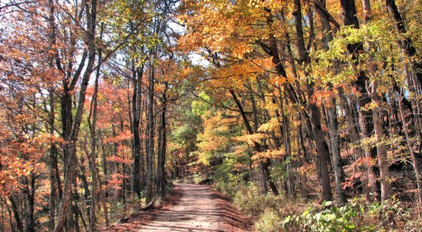 You’ll Be Happy To Hear That Arkansas’ Fall Foliage Is Expected To Be Bright And Bold This Year