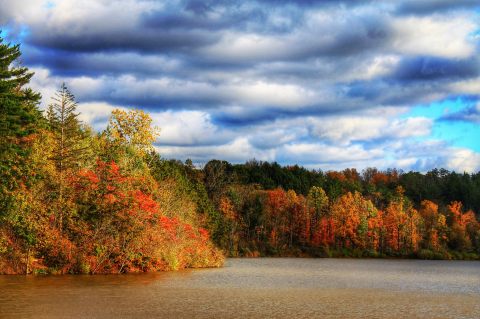 You'll Be Happy To Hear That Ohio's Fall Foliage Is Expected To Be Bright And Bold This Year