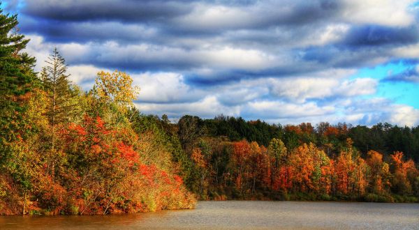 You’ll Be Happy To Hear That Ohio’s Fall Foliage Is Expected To Be Bright And Bold This Year
