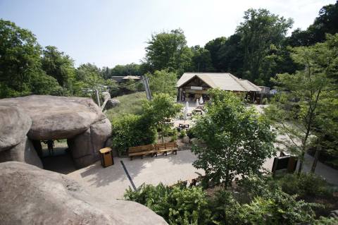 Most People Don’t Know About This Underrated Zoo Hiding Just Outside Of Buffalo
