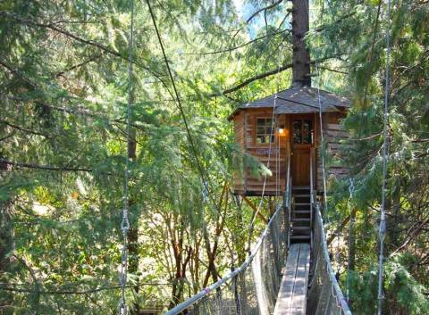 This Treehouse Resort In Oregon May Just Be Your New Favorite Destination