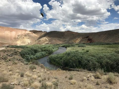 A New State Park Just Opened In Nevada And You Need To Visit It Right Away