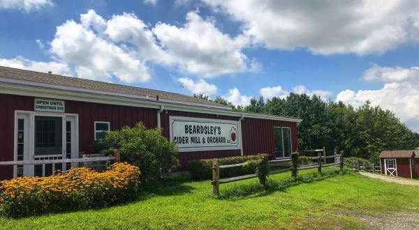 The 8 Best Places In Connecticut To Get Apple Cider Donuts This Fall