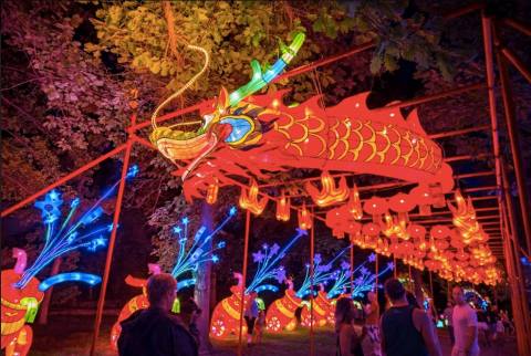 The Most Luminous Festival In New Mexico Is Downright Spellbinding