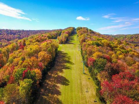 Take This Ride High Above Buffalo's Fall Foliage For The Most Spectacular Views