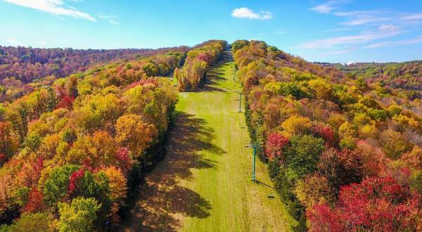 Take This Ride High Above Buffalo’s Fall Foliage For The Most Spectacular Views