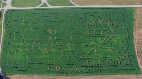 Get Lost In This Awesome 10-Acre Corn Maze In Kentucky This Autumn