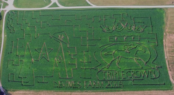 Get Lost In This Awesome 10-Acre Corn Maze In Kentucky This Autumn