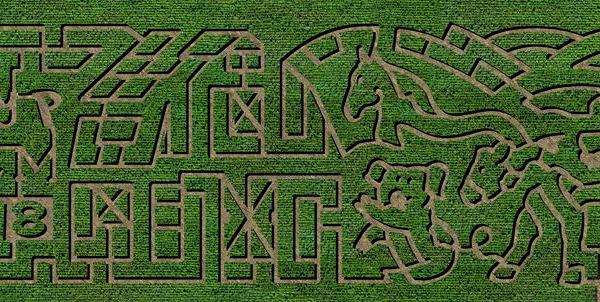 Get Lost In This Awesome 6-Acre Corn Maze In Nevada This Autumn