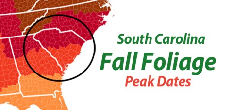 You'll Be Happy To Hear That South Carolina's Fall Foliage Is Expected To Be Bright And Bold This Year
