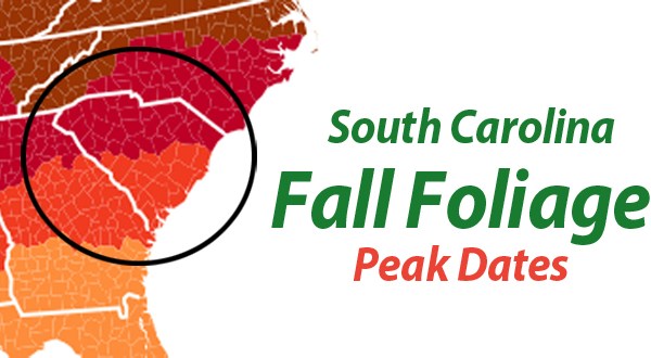 You’ll Be Happy To Hear That South Carolina’s Fall Foliage Is Expected To Be Bright And Bold This Year