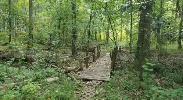 The One Trail In Louisiana That Will Lead You Miles Away From It All