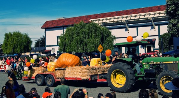 The Quirky Northern California Town That Transforms Into A Pumpkin Wonderland Every Fall
