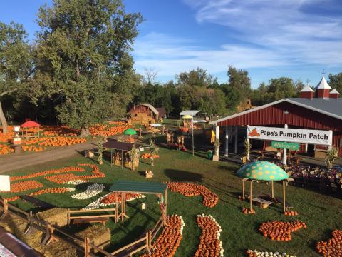 Nothing Says Fall Is Here More Than A Visit To North Dakota's Charming Pumpkin Farm