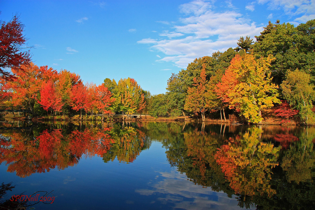 Rhode Island's Fall Foliage Predictions Are Bright And Bold In 2018.