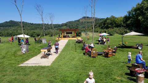 This Wisconsin Orchard Is Also A Beer Garden And It's Absolute Perfection In The Fall