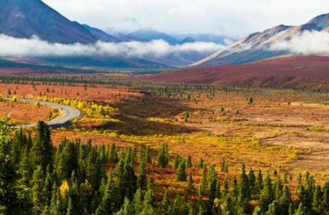 This Fall Colors Tour In Alaska Will Brighten Up The Season