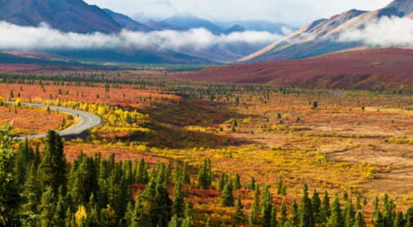 This Fall Colors Tour In Alaska Will Brighten Up The Season