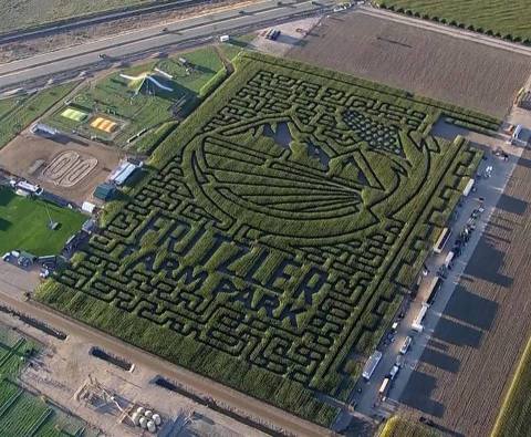 Get Lost In This Awesome 15-Acre Corn Maze In Colorado This Autumn