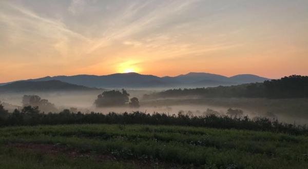 This Mountain Orchard Apple Festival Might Be The Most Virginia Thing Ever