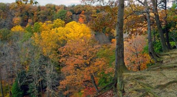 The Awesome Hike That Will Take You To The Most Spectacular Fall Foliage In Ohio