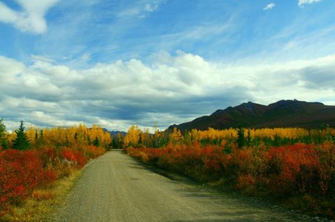 11 Reasons Fall Is The Absolute Best Time To Visit Alaska