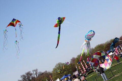 This Incredible Kite Festival In New York Is A Must-See