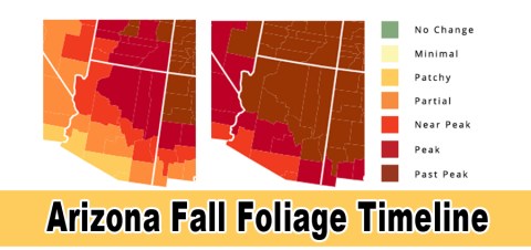 You'll Be Happy To Hear That Arizona's Fall Foliage Is Expected To Be Bright And Bold This Year