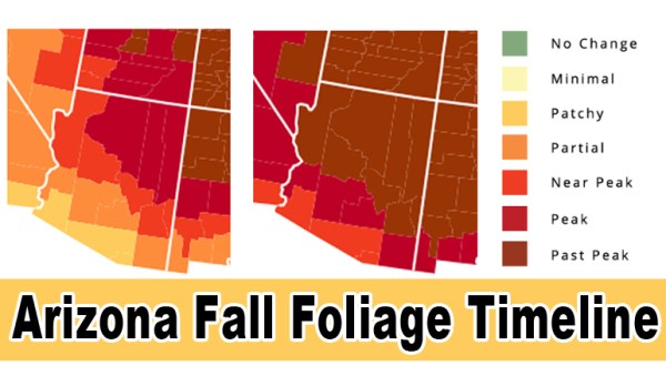 You’ll Be Happy To Hear That Arizona’s Fall Foliage Is Expected To Be Bright And Bold This Year